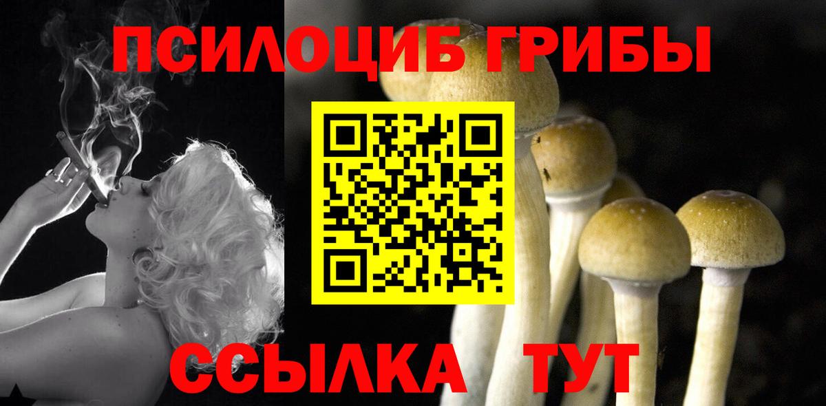 Лысьва  Галлюциногенные грибы Magic Shrooms  Галлюциногенные грибы прущие грибы  Вход с VPN 