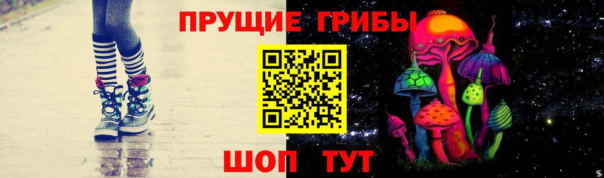 Псилоцибиновые грибы Psilocybe Лысьва
